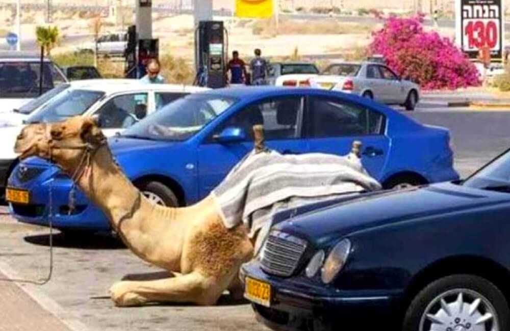 Camel Street Parking @kormsa / Pinterest.com